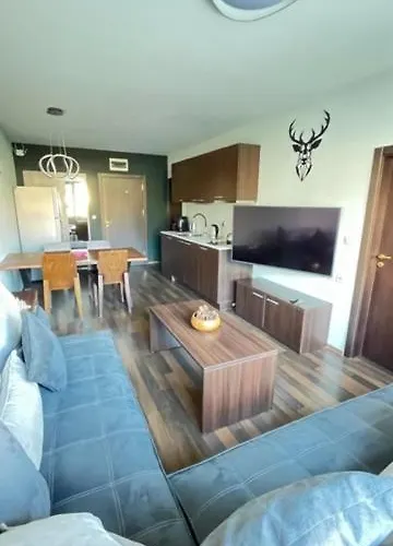 Altitude Mountain Aspen At Gondola